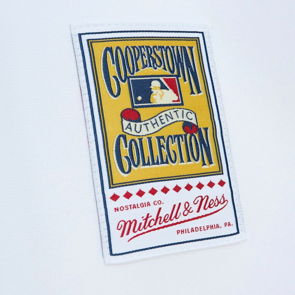 Roberto Clemente Pittsburgh Pirates Mitchell & Ness Cooperstown Collection Authentic Jersey - MLB Jerseys