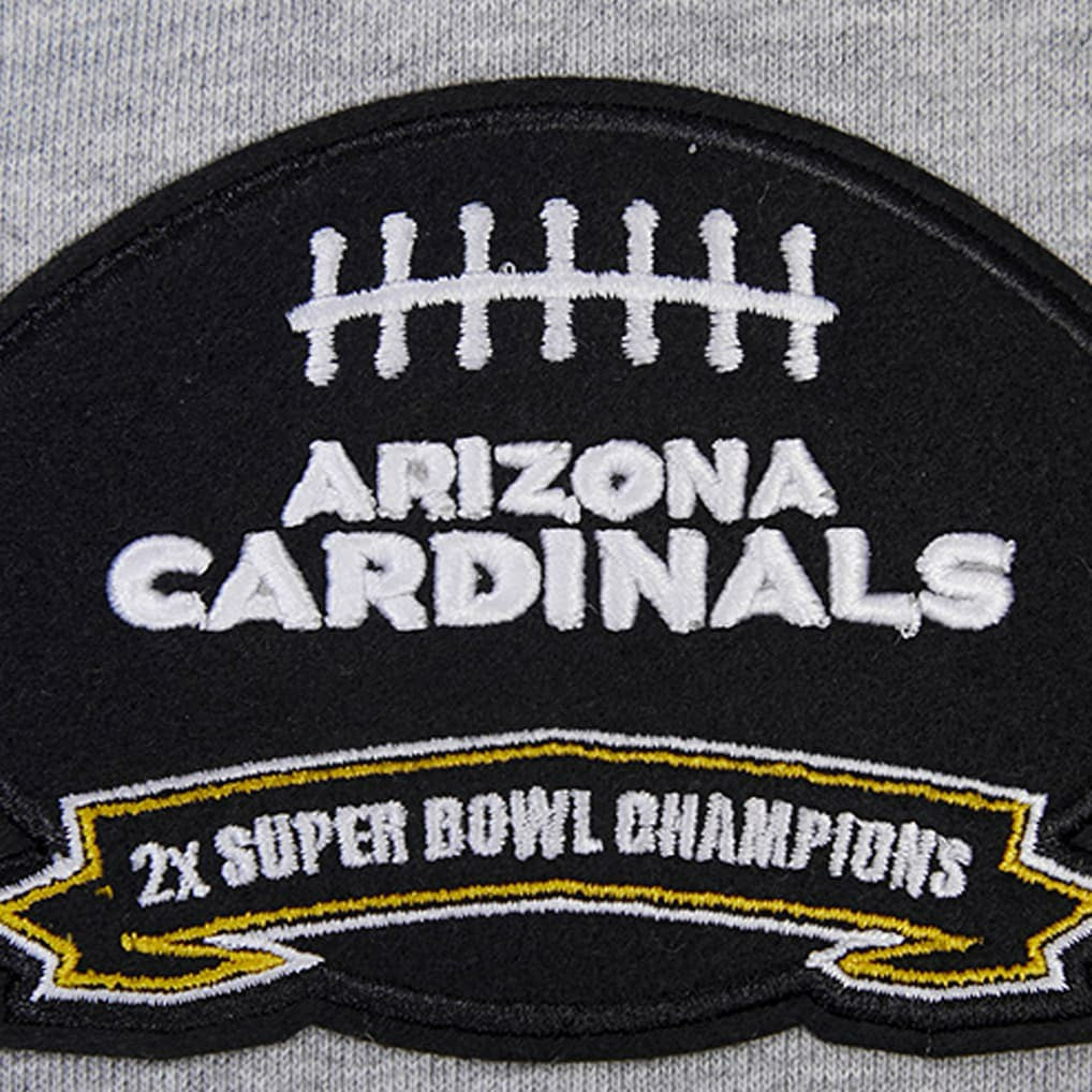 Arizona Cardinals Pro Standard Crest Emblem Pullover Sweatshirt | NFL Outlet