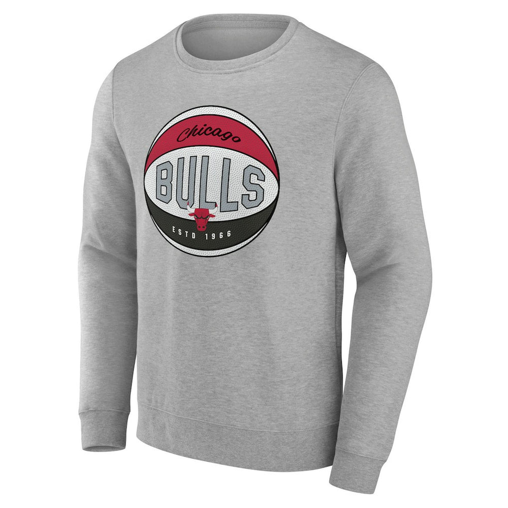 Gray Chicago Bulls Hard Color Pullover Sweatshirt sale | NBA