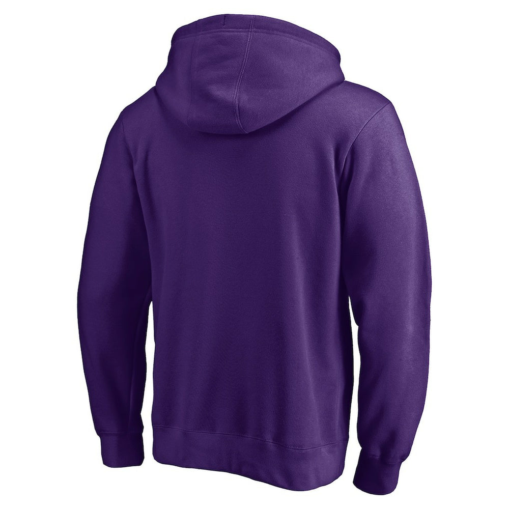 Minnesota Vikings Hometown Collection Sweep Pullover Hoodie | NFL Sale