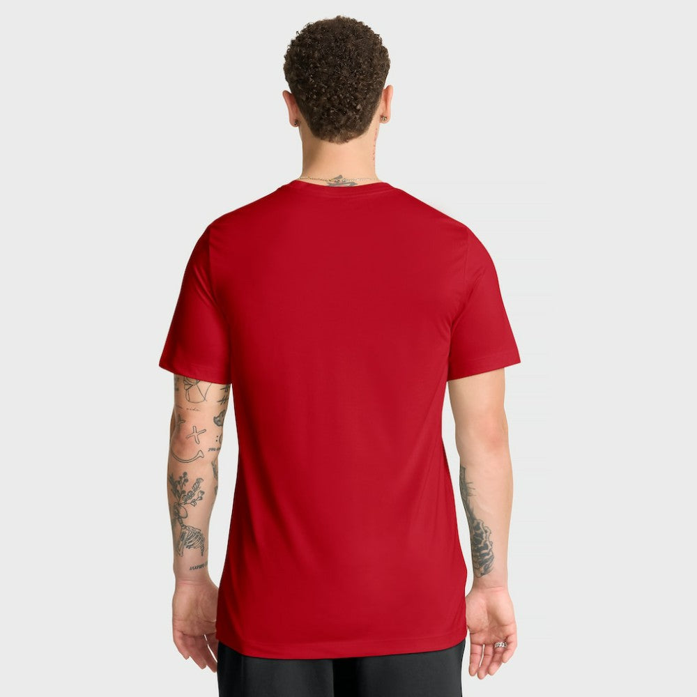 St. Louis Cardinals Nike Knockout Team Legend Dri-FIT T-Shirt - MLB T-shirts
