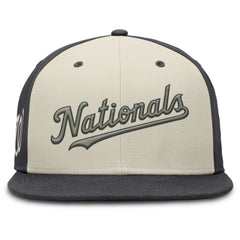 Washington Nationals Nike Dri-FIT True Fitted Hat - MLB Hats