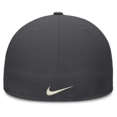 Chicago Cubs Nike Dri-FIT True Fitted Hat - MLB Hats