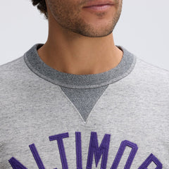 Baltimore Ravens IconicFleece Pocket Sweatshirt | NFL Outlet