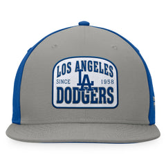 Los Angeles Dodgers Fanatics Cycle Snapback Hat - MLB Hats