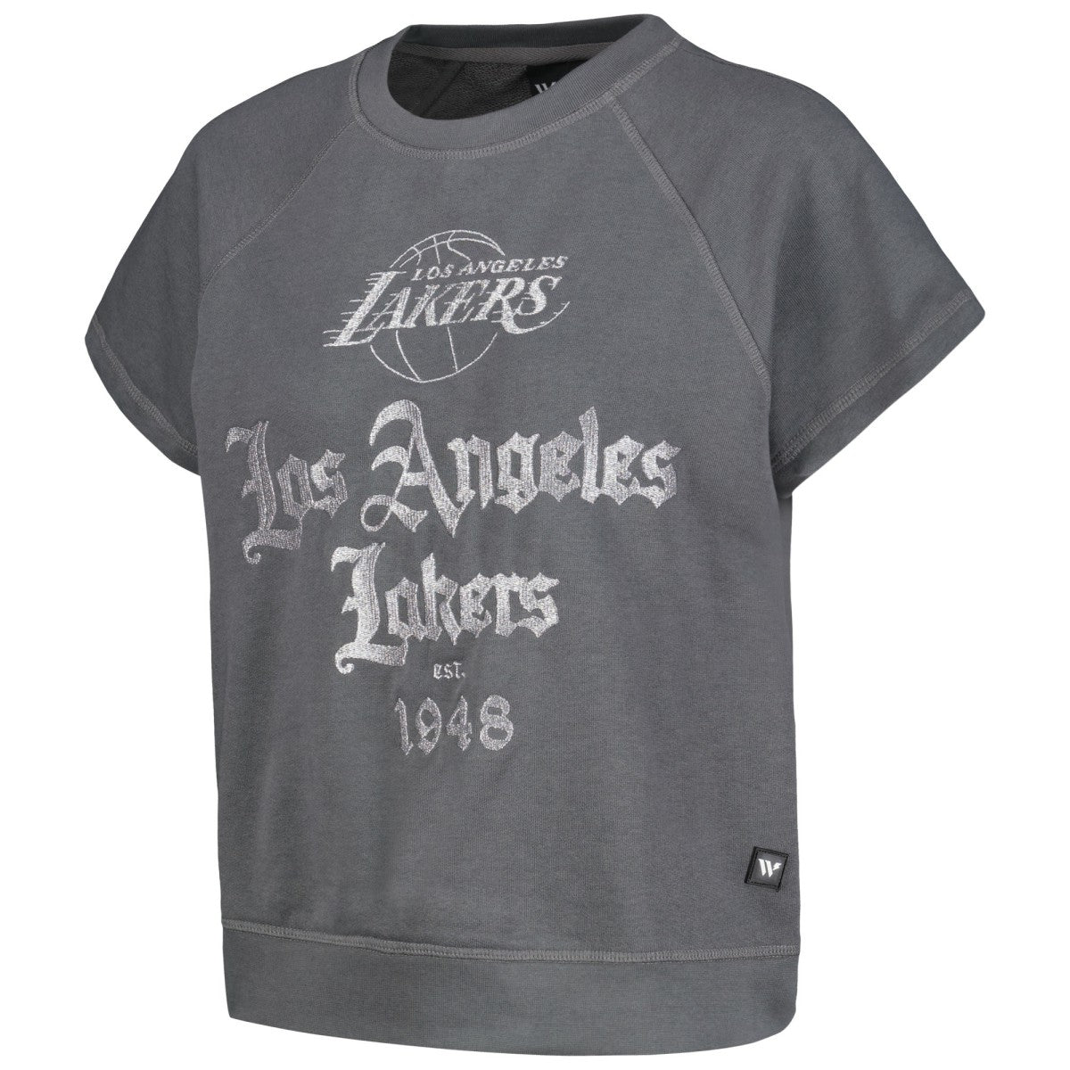 Gray Los Angeles Lakers The Wild Collective Women's Embroidered Fleece Raglan Short Sleeve Pullover Sweatshirt | NBA