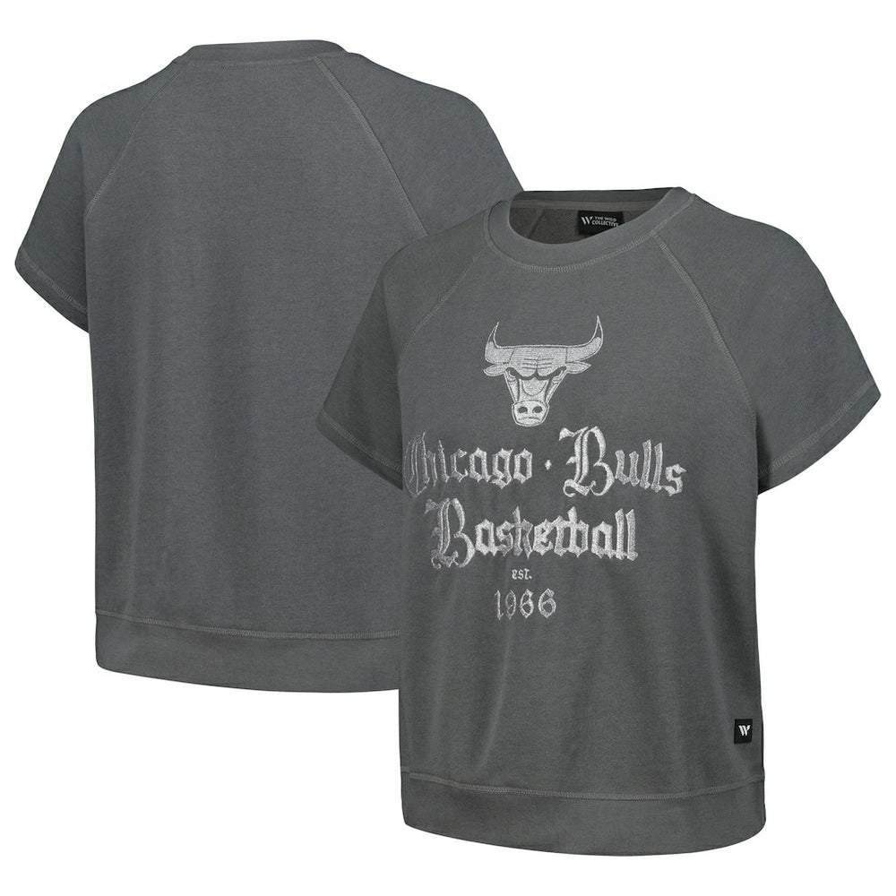 Gray Chicago Bulls The Wild Collective Women's Embroidered Fleece Raglan Short Sleeve Pullover Sweatshirt sale | NBA