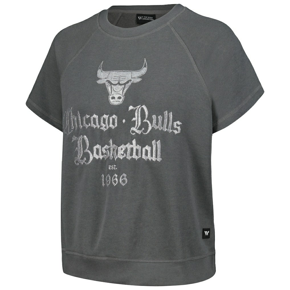 Gray Chicago Bulls The Wild Collective Women's Embroidered Fleece Raglan Short Sleeve Pullover Sweatshirt sale | NBA