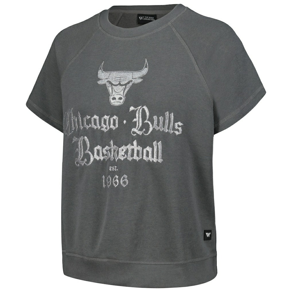 Gray Chicago Bulls The Wild Collective Women's Embroidered Fleece Raglan Short Sleeve Pullover Sweatshirt sale | NBA