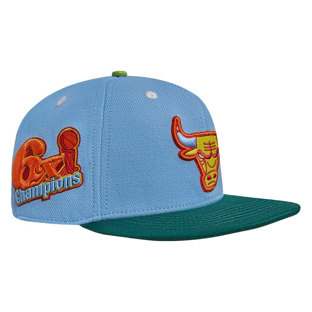Light Blue/Green Chicago Bulls Pro Standard Retro Program 2-Tone Snapback Hat | NBA