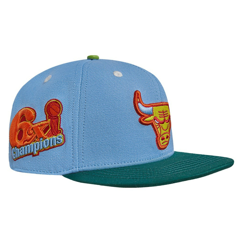 Light Blue/Green Chicago Bulls Pro Standard Retro Program 2-Tone Snapback Hat | NBA