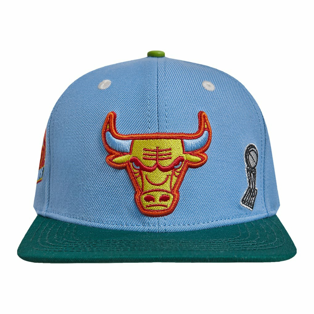 Light Blue/Green Chicago Bulls Pro Standard Retro Program 2-Tone Snapback Hat | NBA