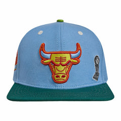 Light Blue/Green Chicago Bulls Pro Standard Retro Program 2-Tone Snapback Hat | NBA