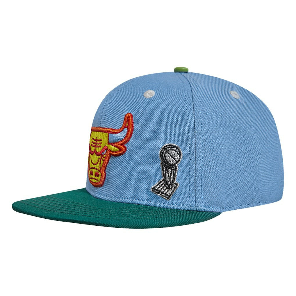 Light Blue/Green Chicago Bulls Pro Standard Retro Program 2-Tone Snapback Hat | NBA