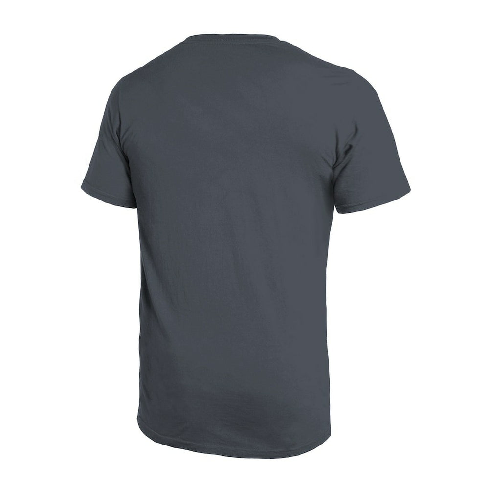 Atlanta Falcons Majestic Threads Sundays Skyline T-Shirt | NFL Hot