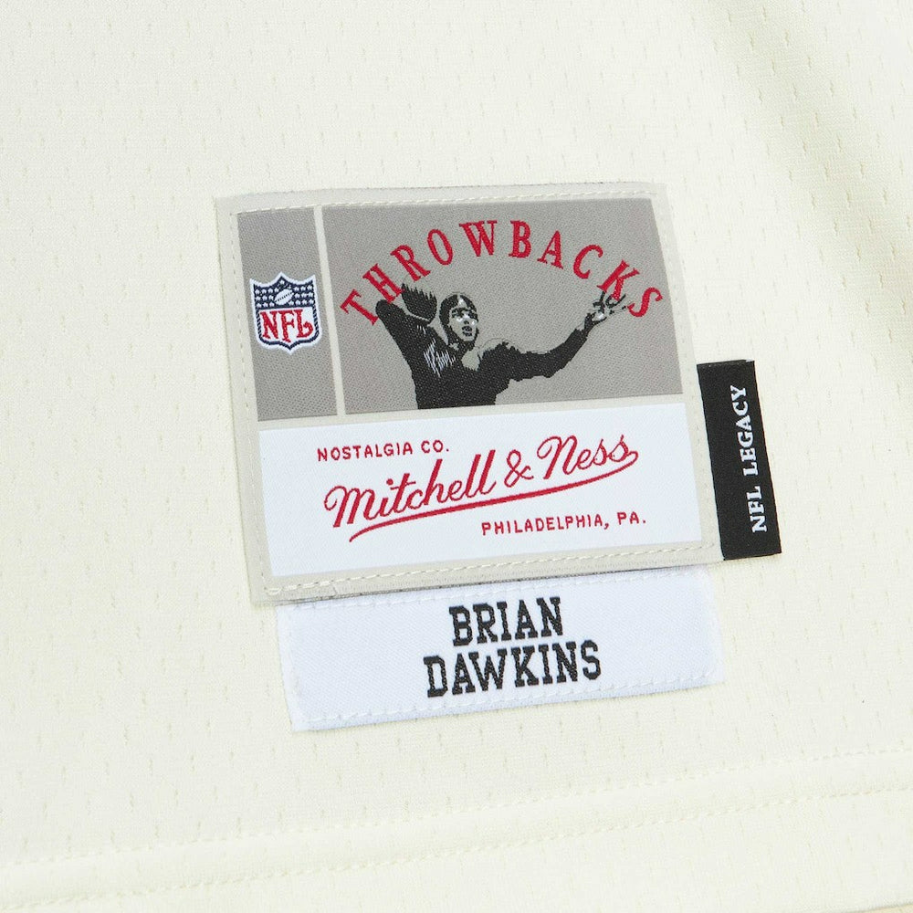 Philadelphia Eagles Brian Dawkins  Chainstitch Legacy Jersey | NFL Sale