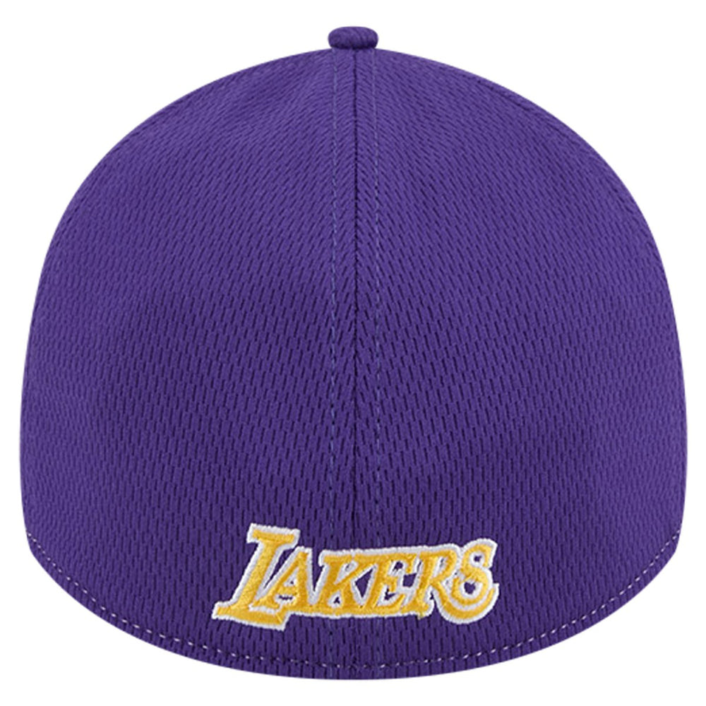 Heather Gray/Purple Los Angeles Lakers Two-Tone 39THIRTY Flex Hat | NBA
