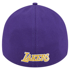 Heather Gray/Purple Los Angeles Lakers Two-Tone 39THIRTY Flex Hat | NBA