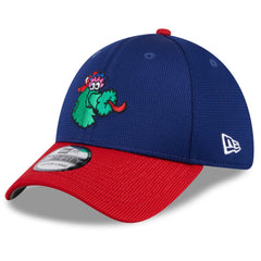 Philadelphia Phillies New Era 2025 Batting Practice 39THIRTY Flex Hat - MLB Hats