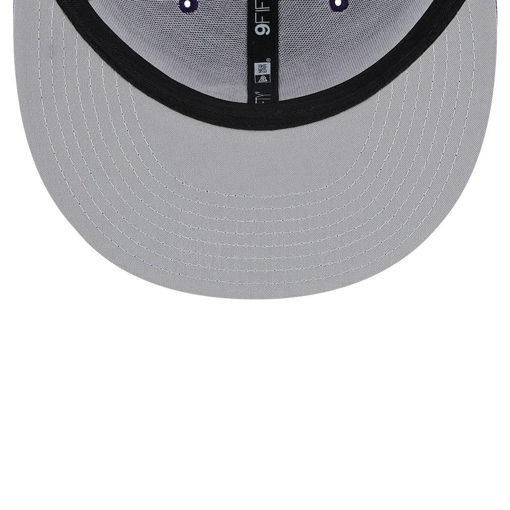 Minnesota Vikings Main Trucker 9FIFTY Snapback Hat | NFL New