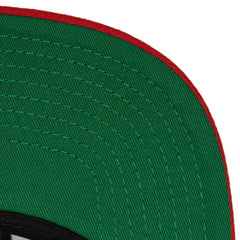 Florida Panthers Mitchell & Ness Core Team Ground 2.0 Snapback Hat -  NHL Hats