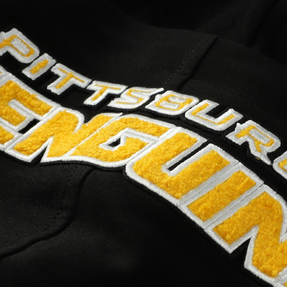 Pittsburgh Penguins Pro Standard Classic Chenille Full-Zip Hoodie Jacket -  NHL Hoodies