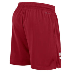 Arizona Cardinals 2024 Sideline Performance Mesh Shorts | NFL Online