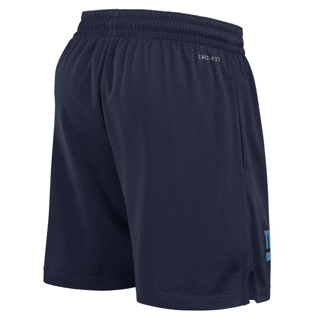Tennessee Titans 2024 Sideline Performance Mesh Shorts | NFL Online