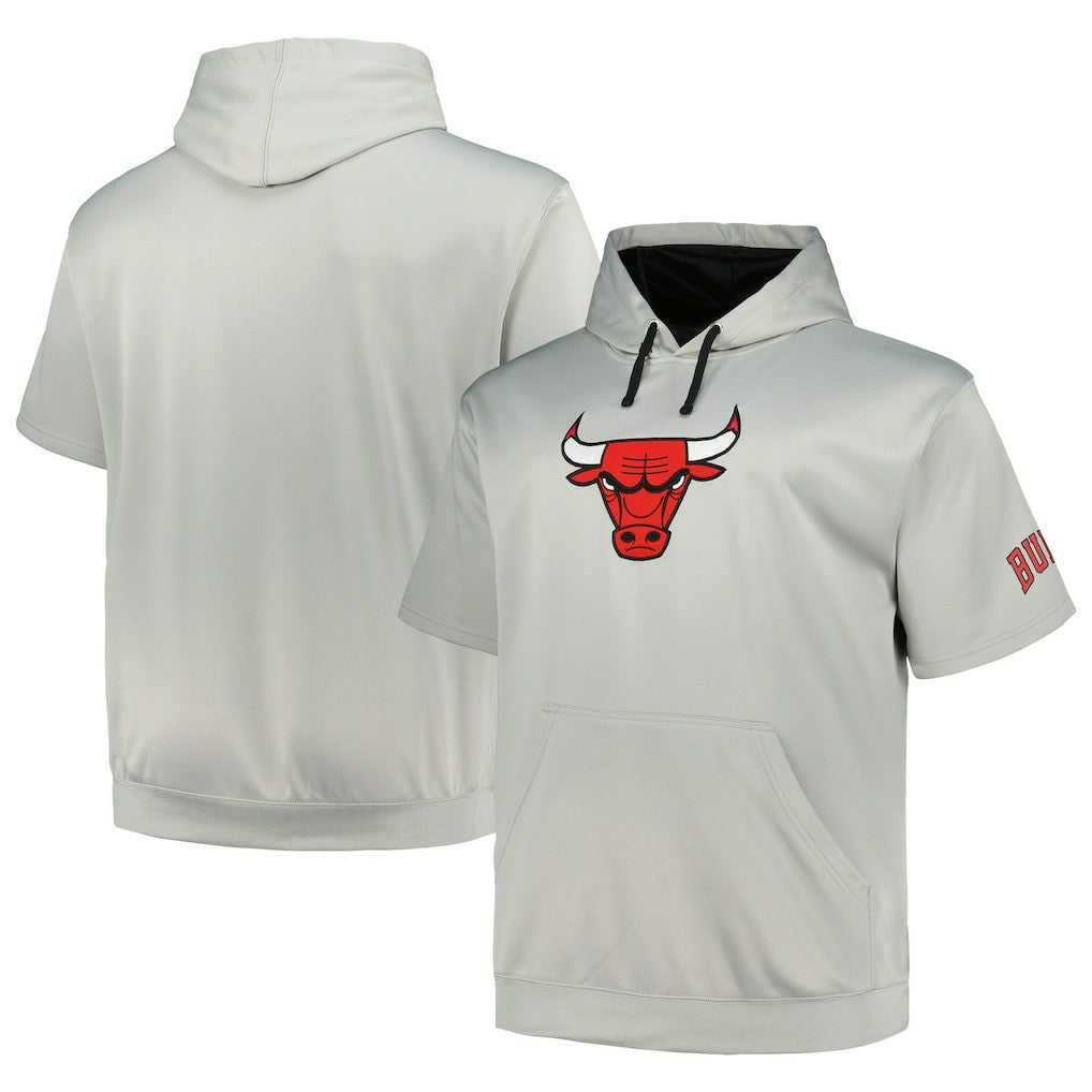 Silver Chicago Bulls Big & Tall Logo Pullover Hoodie | NBA