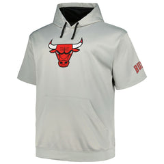 Silver Chicago Bulls Big & Tall Logo Pullover Hoodie | NBA
