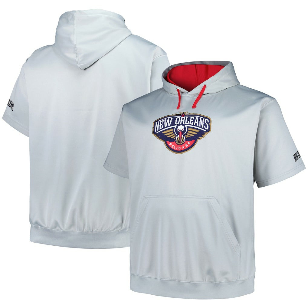 Silver New Orleans Pelicans Big & Tall Logo Pullover Hoodie | NBA