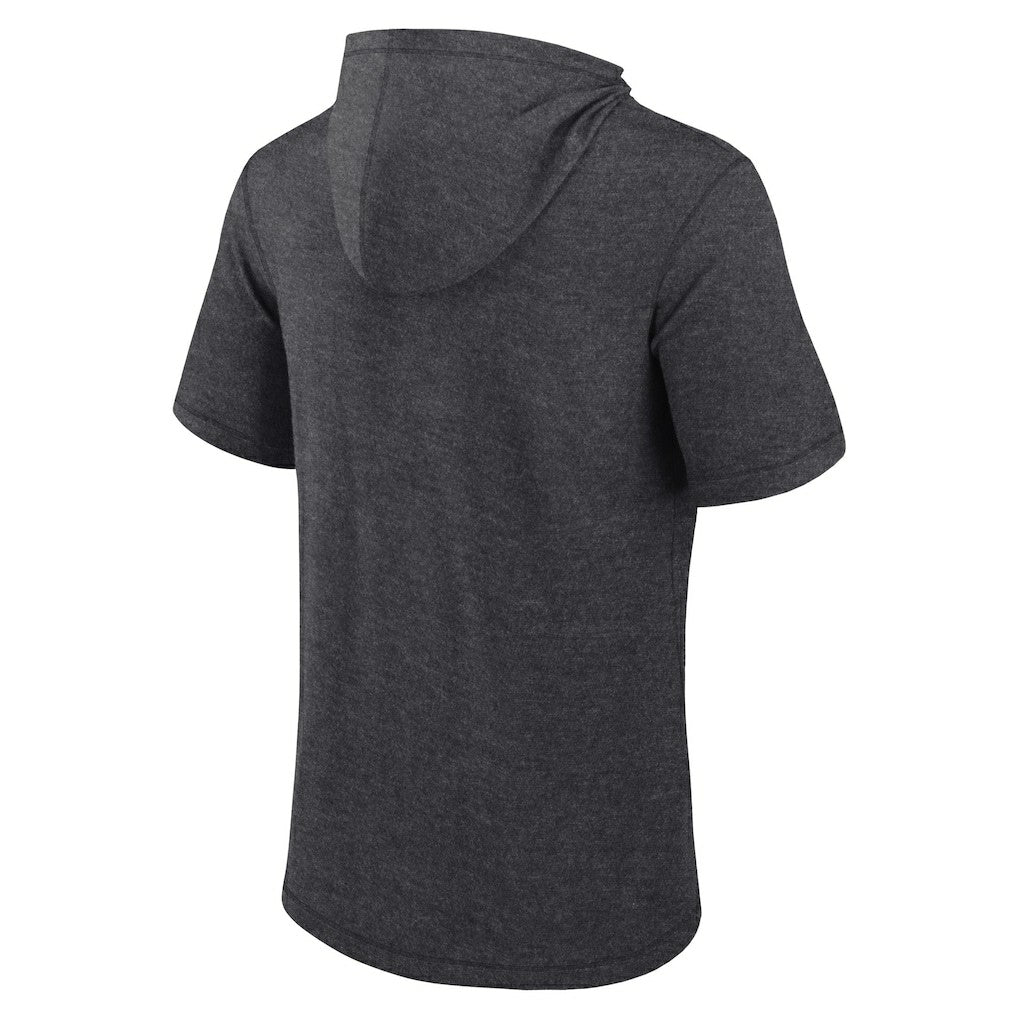 Carolina Panthers Push Short Sleeve Pullover Hoodie | NFL Near me