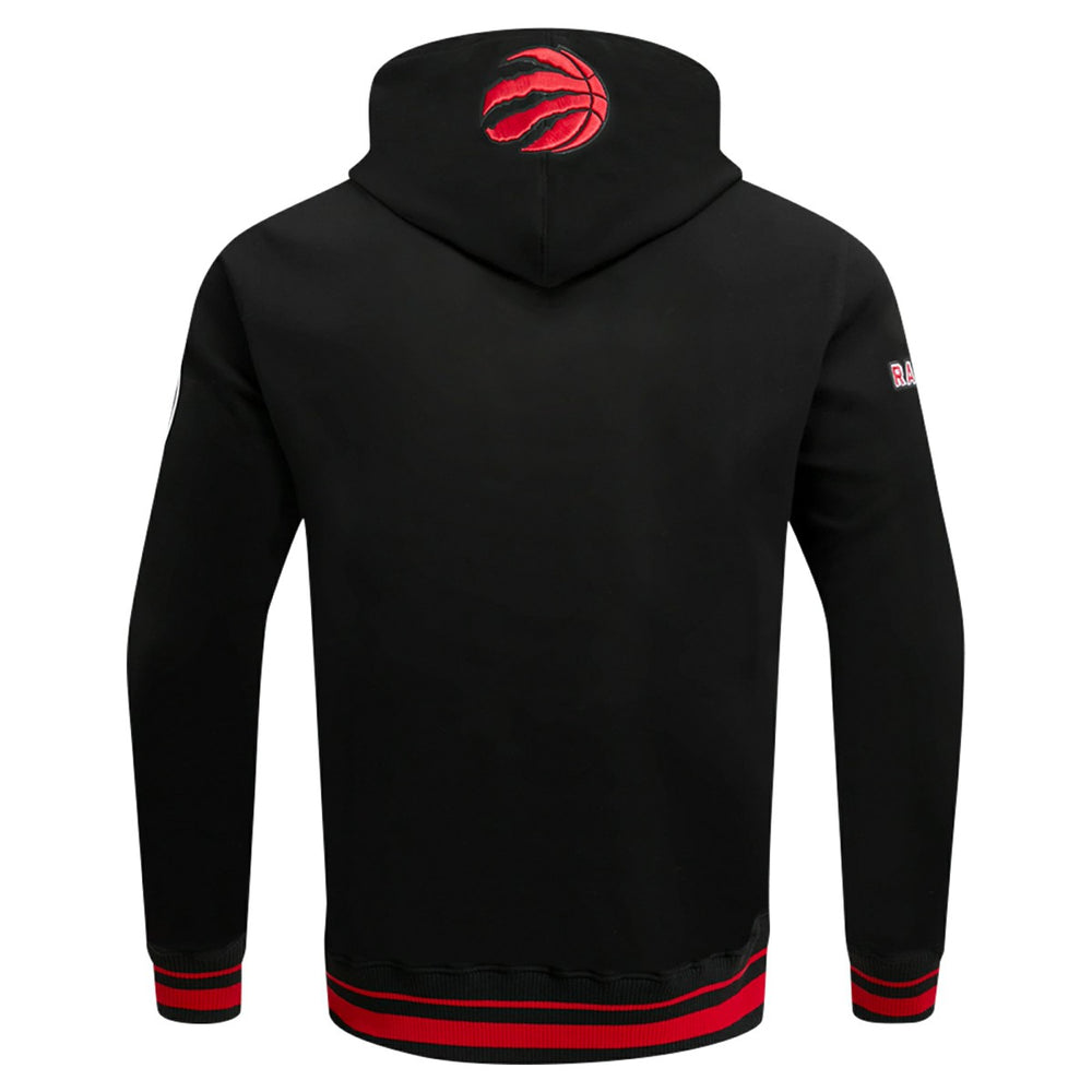 Black Toronto Raptors Pro Standard Script Tail Pullover Hoodie | NBA