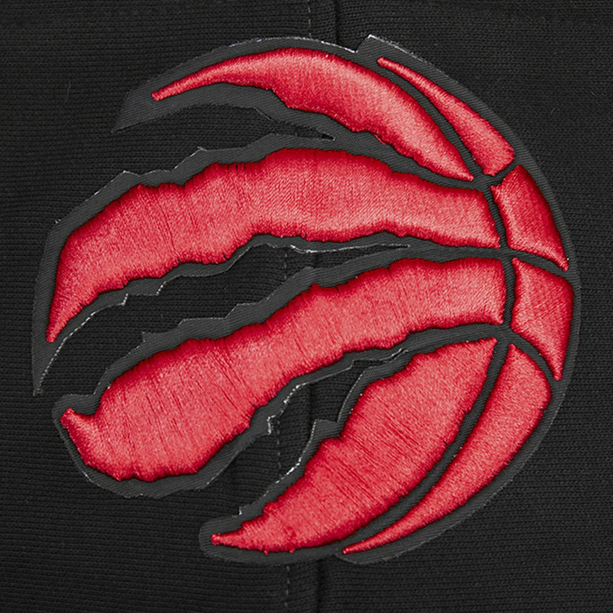 Black Toronto Raptors Pro Standard Script Tail Pullover Hoodie | NBA