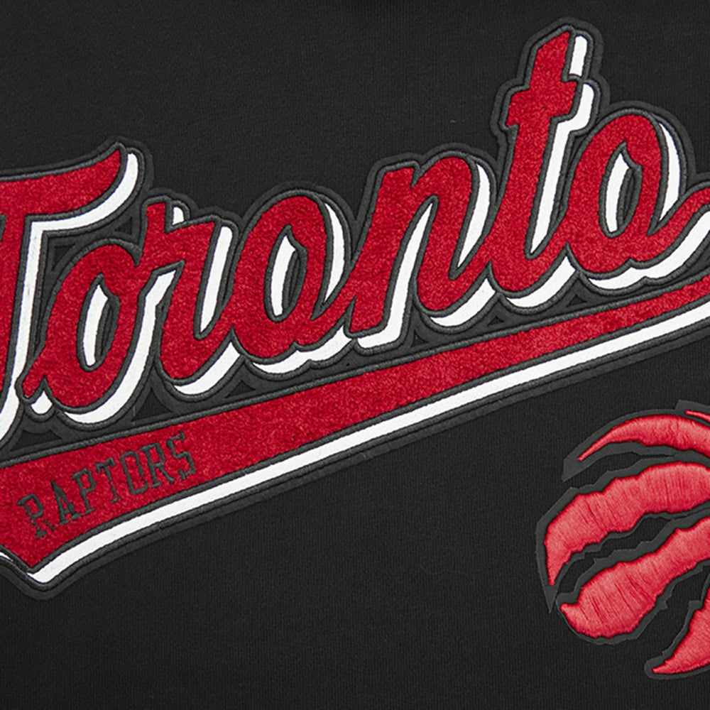 Black Toronto Raptors Pro Standard Script Tail Pullover Hoodie | NBA