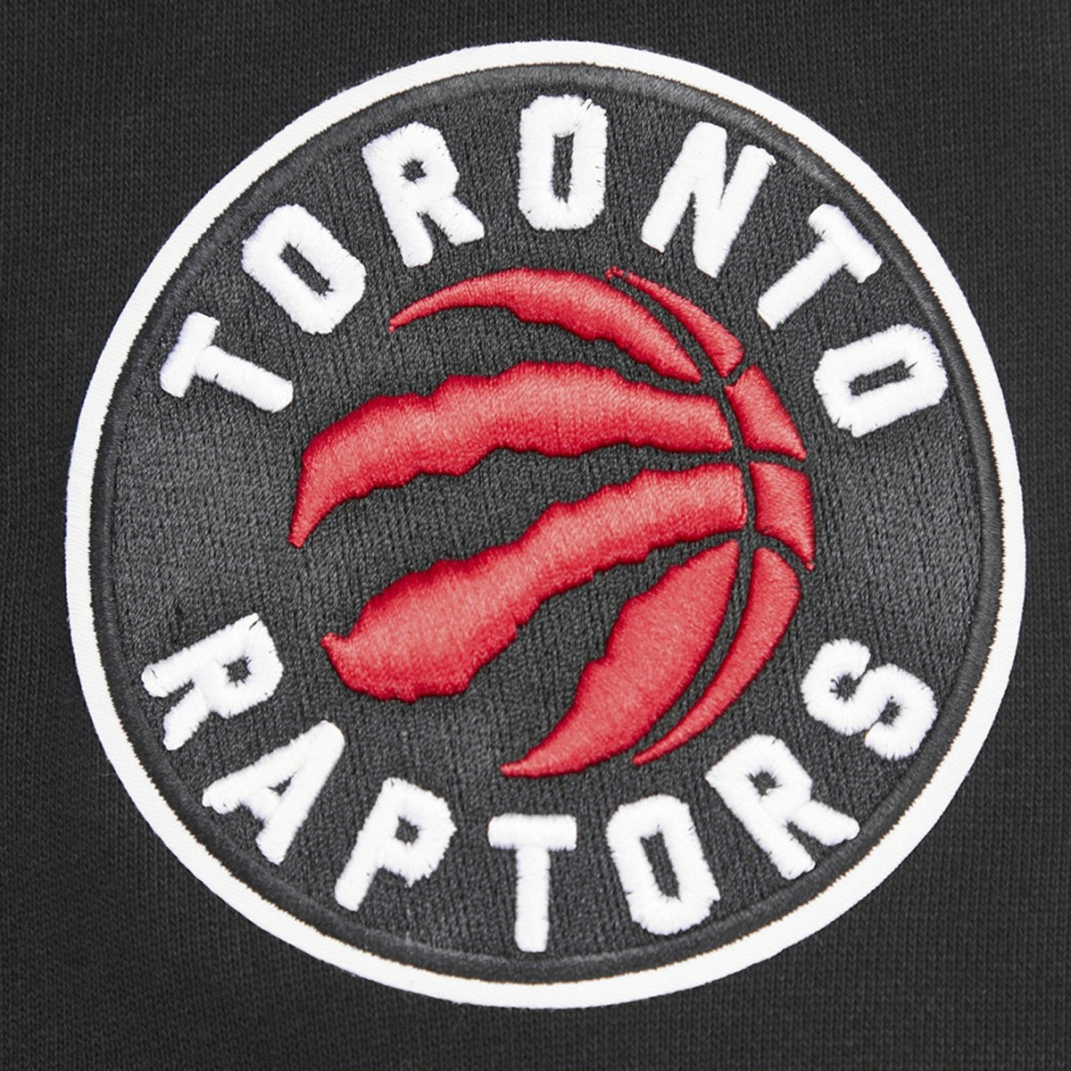 Black Toronto Raptors Pro Standard Script Tail Pullover Hoodie | NBA