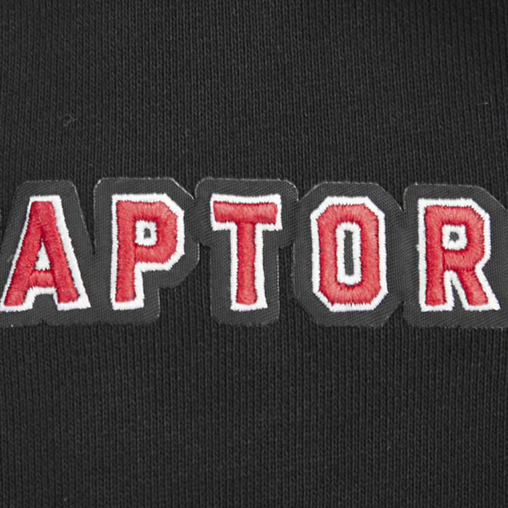 Black Toronto Raptors Pro Standard Script Tail Pullover Hoodie | NBA