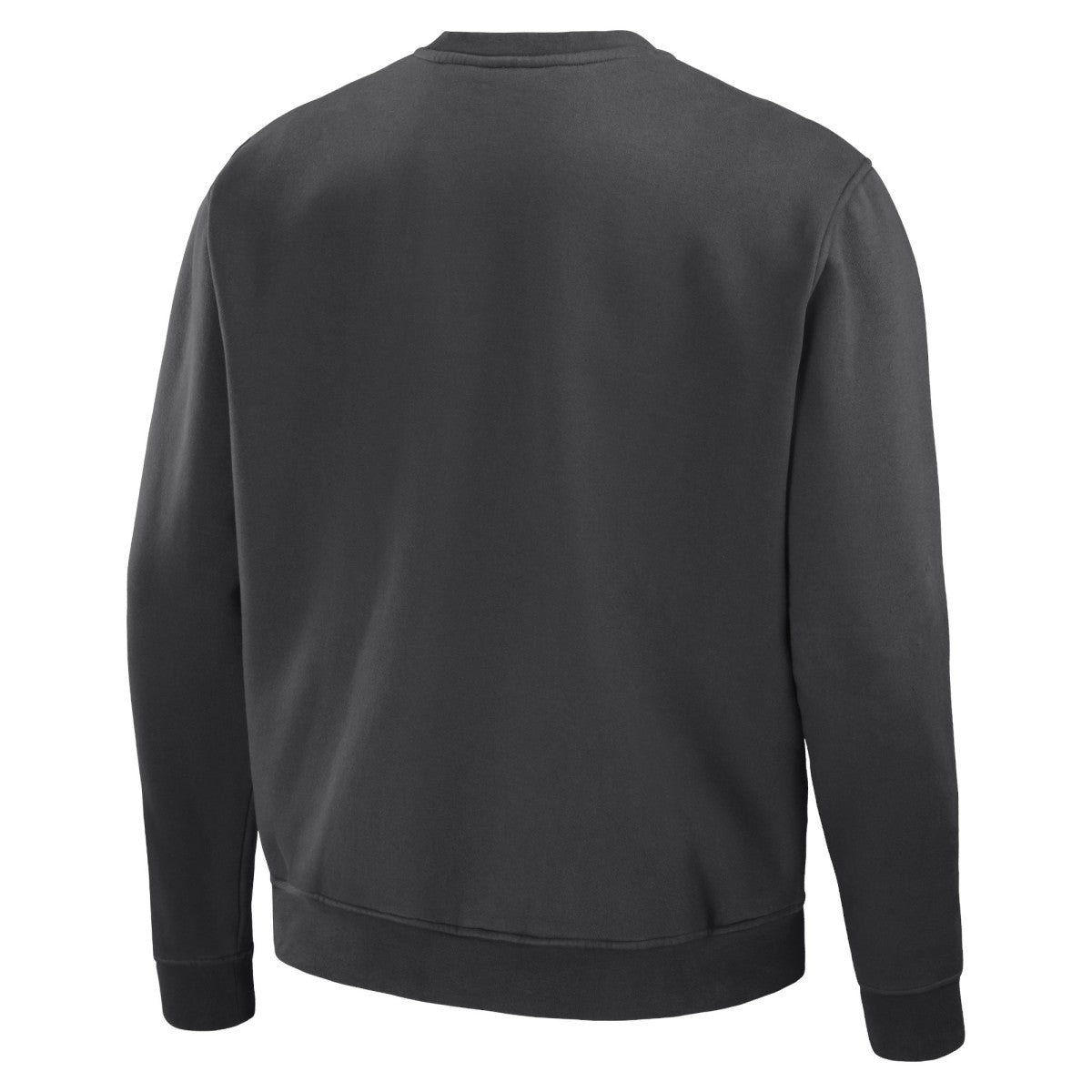 Anthracite Toronto Raptors NBA x Staple Plush Pullover Sweatshirt | NBA