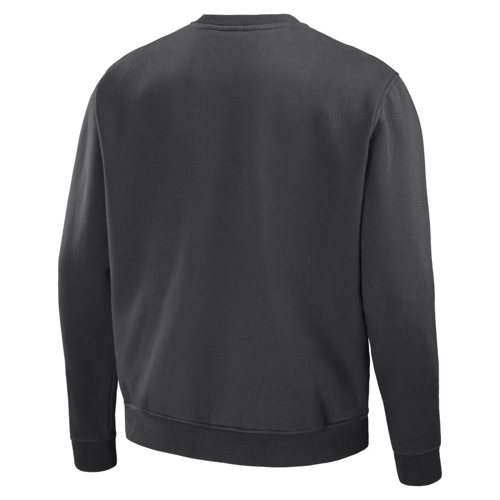 Anthracite Toronto Raptors NBA x Staple Plush Pullover Sweatshirt | NBA