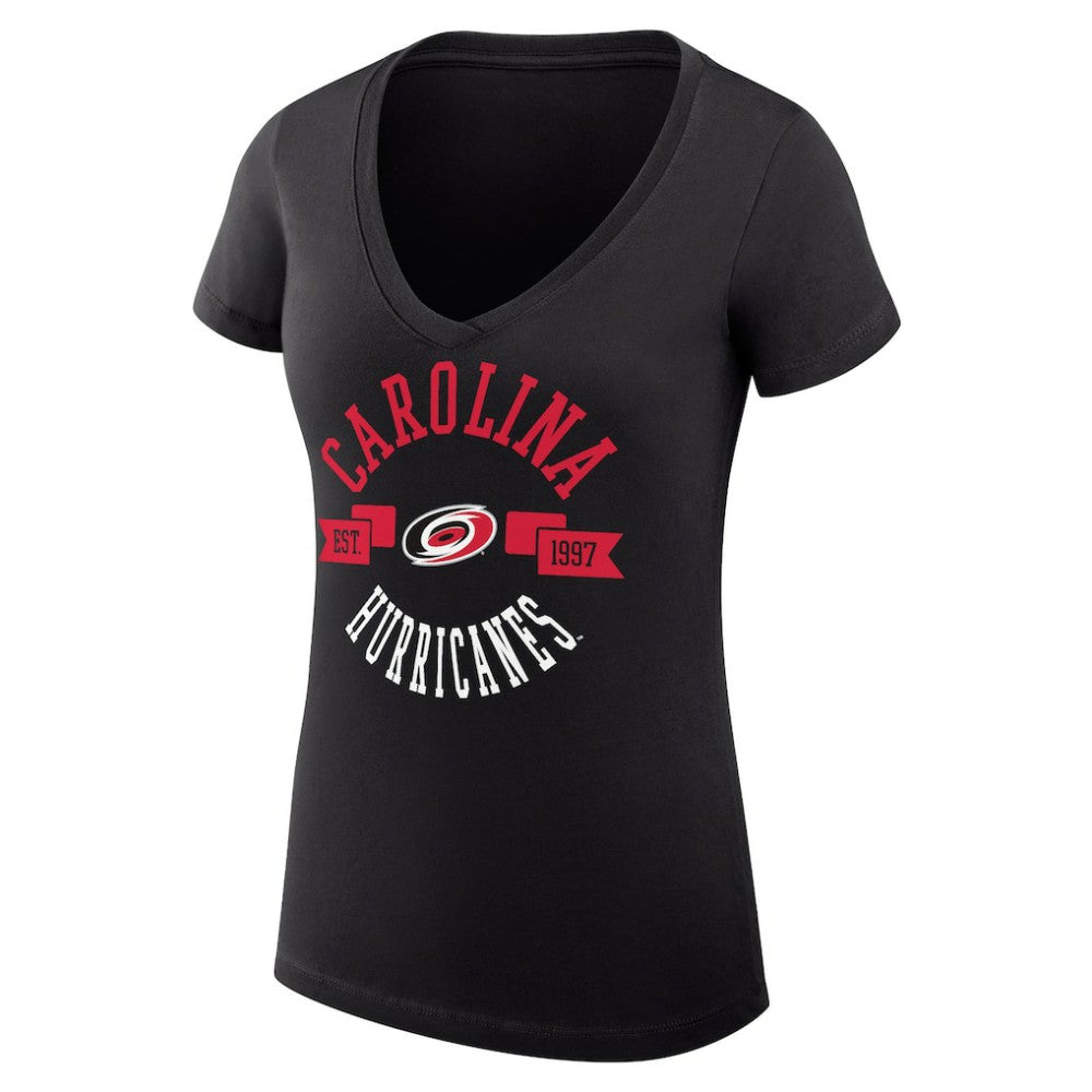 Carolina Hurricanes G-III 4Her by Carl Banks Women's Super-Slim Fit Lightweight City Graphic V-Neck T-Shirt -  NHL T-shirts