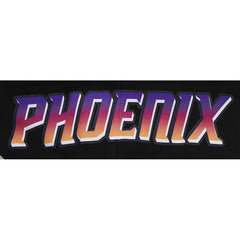 Black Phoenix Suns Pro Standard 2023/24 City Edition Pullover Hoodie | NBA