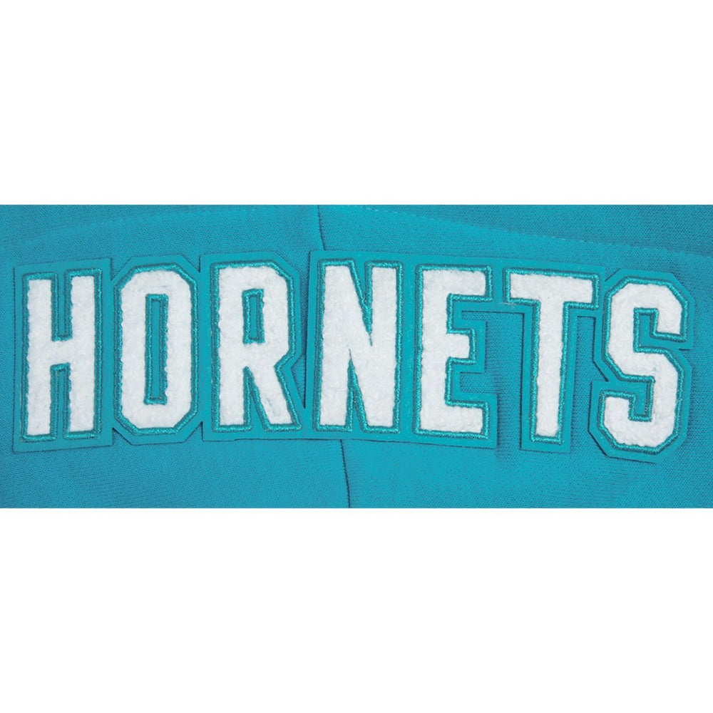 Teal Charlotte Hornets Pro Standard Women's 2023/24 City Edition Cropped Pullover Hoodie | NBA