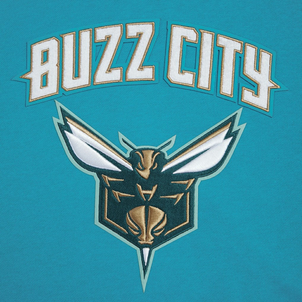 Teal Charlotte Hornets Pro Standard Women's 2023/24 City Edition Cropped Pullover Hoodie | NBA