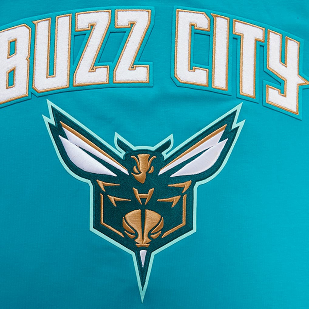 Teal Charlotte Hornets Pro Standard 2023 City Edition T-Shirt | NBA