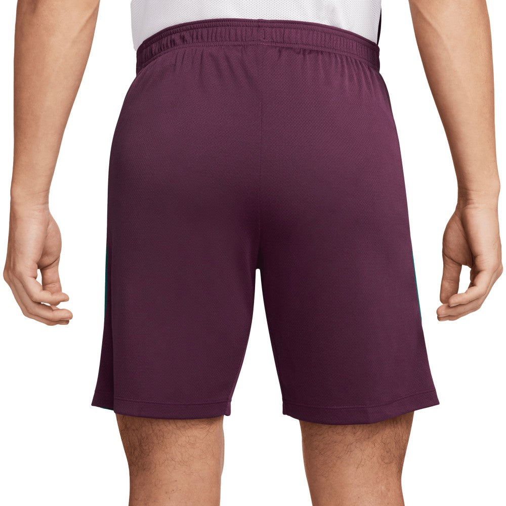 Paris Saint-Germain 2024/25 Strike Shorts