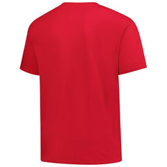 St. Louis Cardinals Profile Big & Tall Weathered Logo T-Shirt - MLB T-shirts
