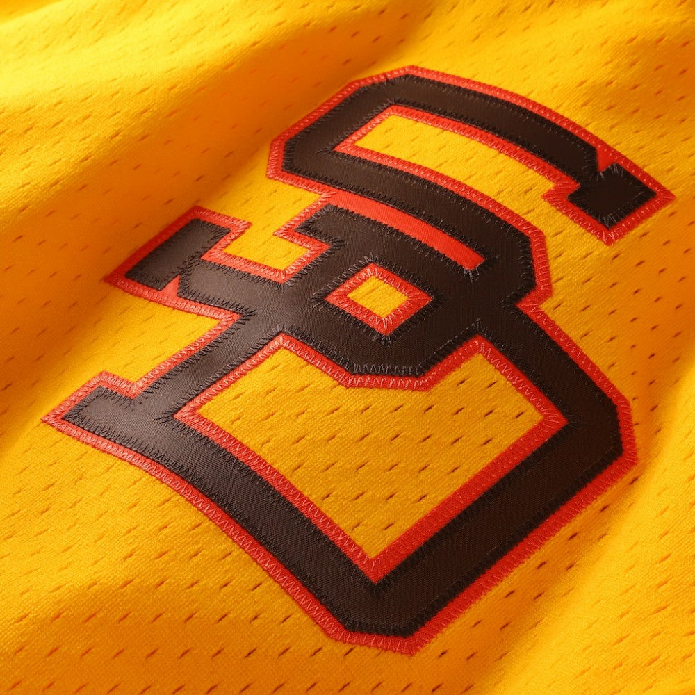 Tony Gwynn San Diego Padres Mitchell & Ness Authentic Batting Practice Jersey - MLB Jerseys