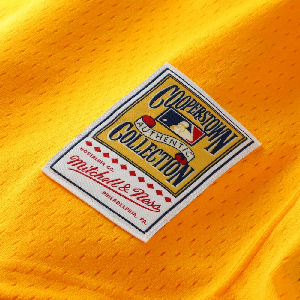 Tony Gwynn San Diego Padres Mitchell & Ness Authentic Batting Practice Jersey - MLB Jerseys