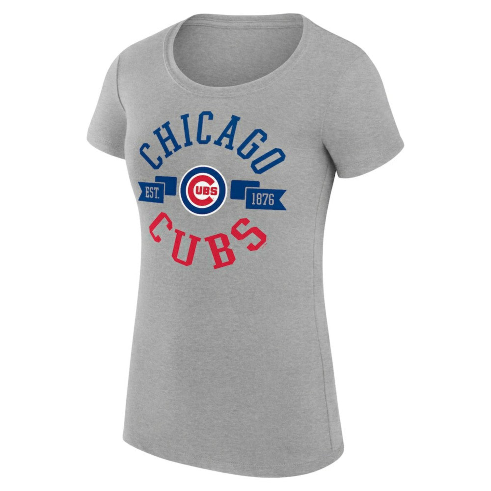 Chicago Cubs G-III 4Her by Carl Banks Women's Super-Slim Fit Lightweight City Graphic T-Shirt - MLB T-shirts