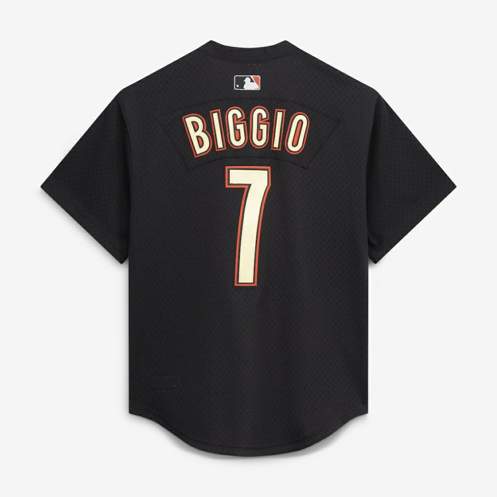 Craig Biggio Houston Astros Mitchell & Ness Authentic Batting Practice Jersey - MLB Jerseys